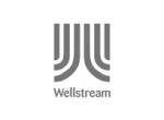 Wellstream